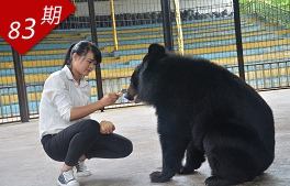 与熊共舞的女孩